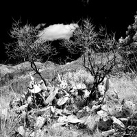 New Mexico-2017-Infrared-065-nas