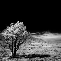 New Mexico-2017-Infrared-061-nas