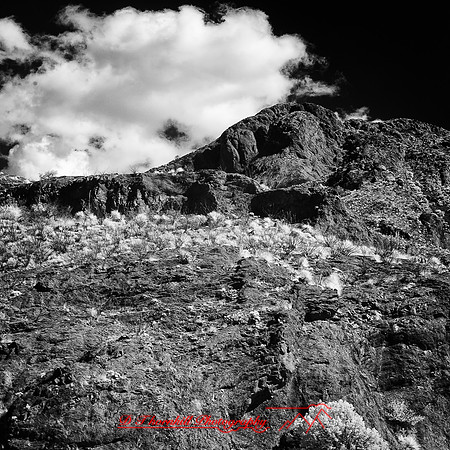 New Mexico-2017-Infrared-062-nas