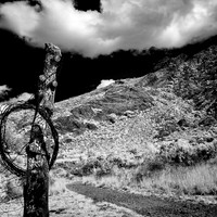 Infrared Dripping Springs Nature Area