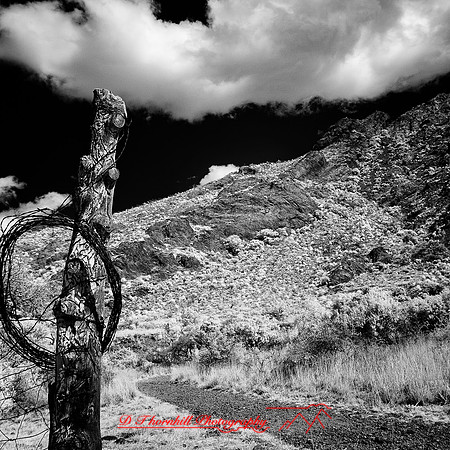 New Mexico-2017-Infrared-068-nas