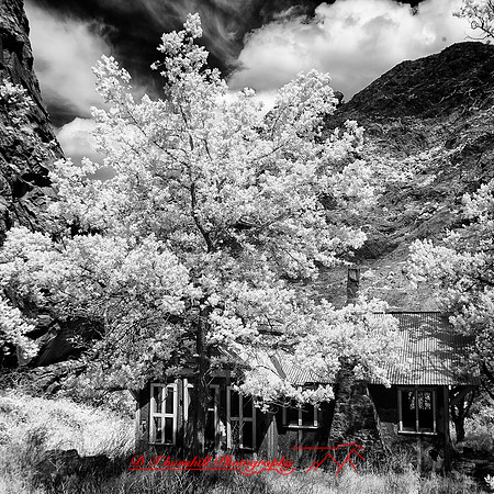 New Mexico-2017-Infrared-073-nas
