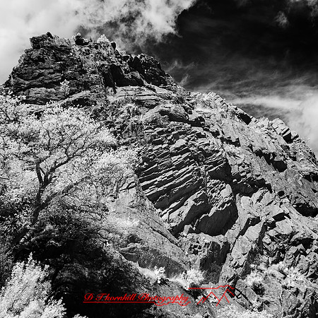New Mexico-2017-Infrared-074-nas