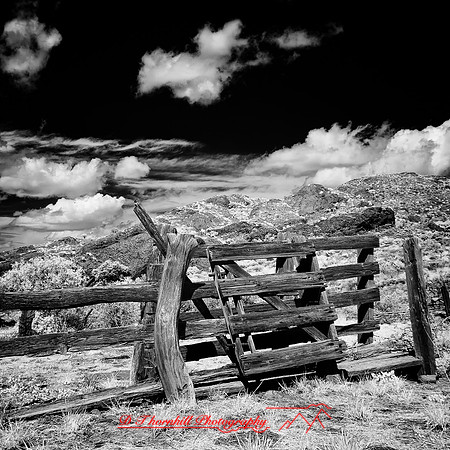New Mexico-2017-Infrared-069-nas