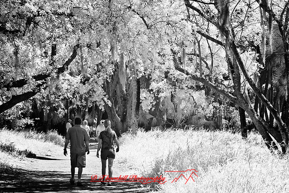 florida-2008-people-infrared_18-nik.jpg