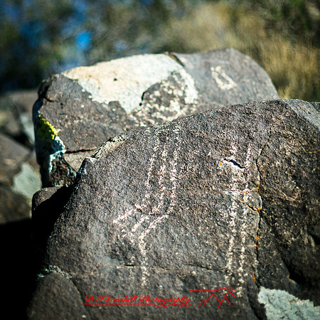 New Mexico-2017-color-042