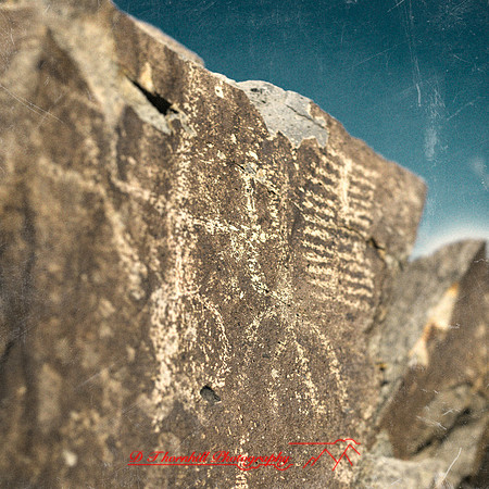 New Mexico-2017-color-061-nas