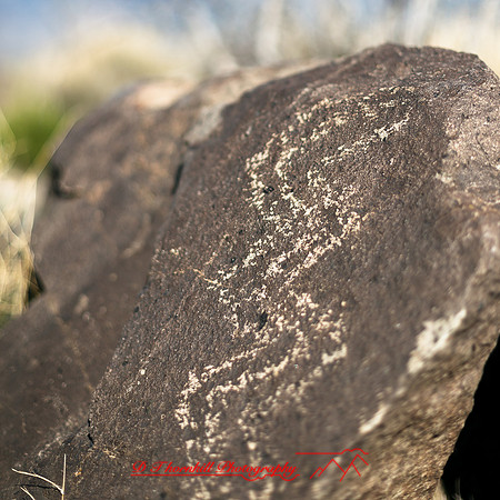 New Mexico-2017-color-062