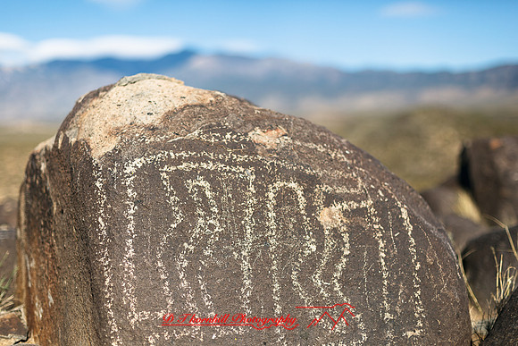 New Mexico-2017-color-064