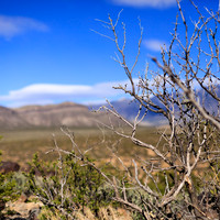 New Mexico-2017-color-045