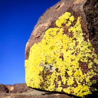 New Mexico-2017-color-049