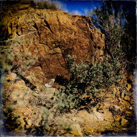 New Mexico-2017-color-052-nas