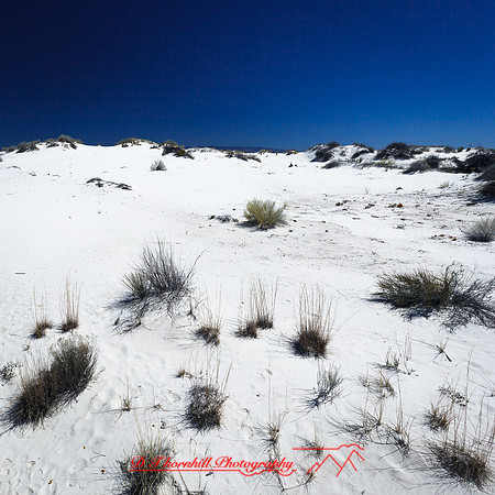 New Mexico-2017-color-002