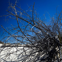 New Mexico-2017-color-004