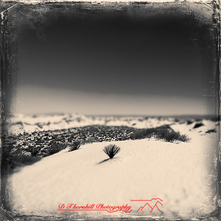 New Mexico-2017-color-007-nas