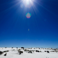 New Mexico-2017-color-008