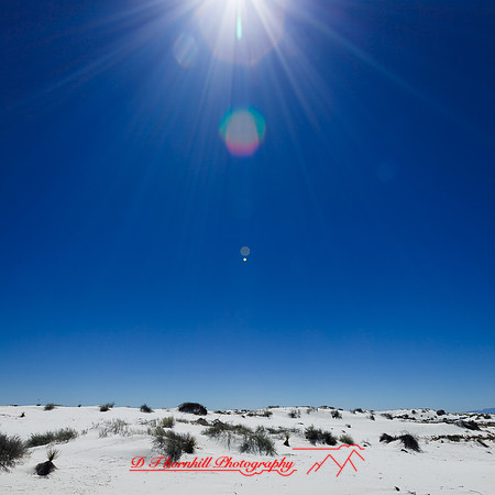 New Mexico-2017-color-008