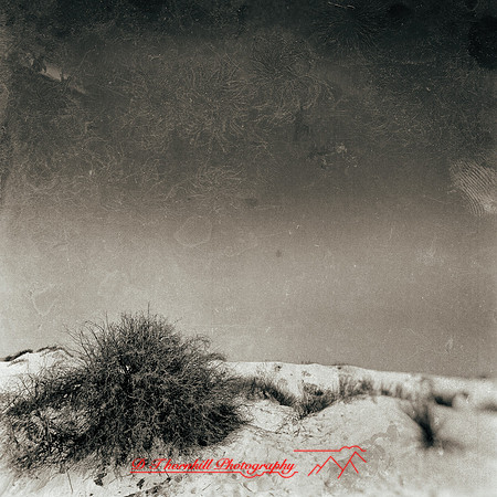 New Mexico-2017-color-009-nas