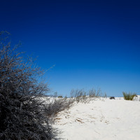 New Mexico-2017-color-010