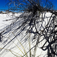 New Mexico-2017-color-013