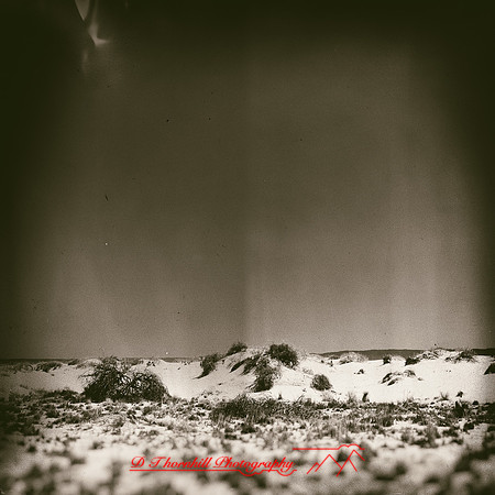 New Mexico-2017-color-001-nas