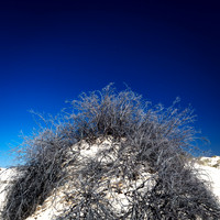 New Mexico-2017-color-006-nas