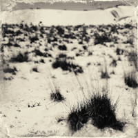 New Mexico-2017-color-017-nas