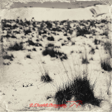 New Mexico-2017-color-017-nas