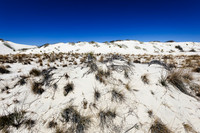 New Mexico-2017-color-019