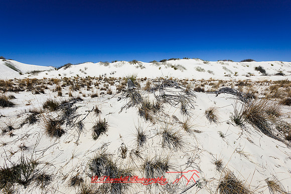 New Mexico-2017-color-019