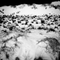 New Mexico-2017-color-018-nas