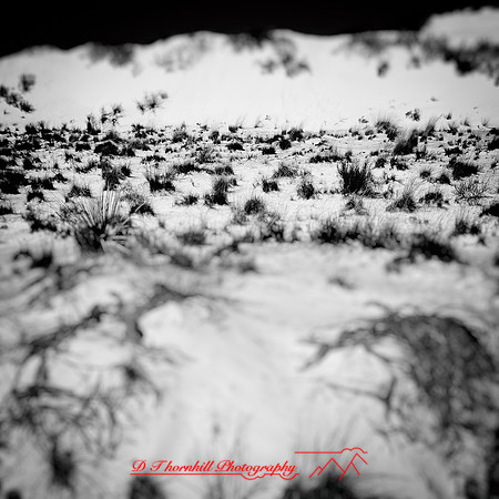 New Mexico-2017-color-018-nas