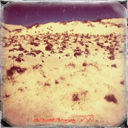 New Mexico-2017-color-020-nas