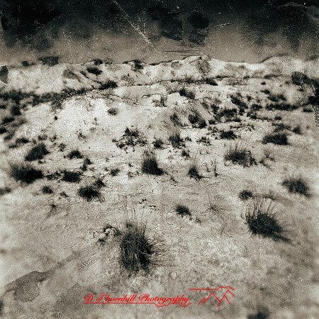New Mexico-2017-color-025-nas