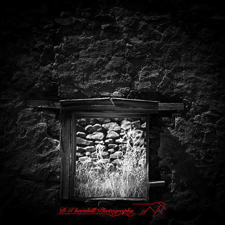 New Mexico-2017-color-075