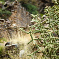 New Mexico-2017-color-074