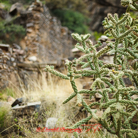 New Mexico-2017-color-074