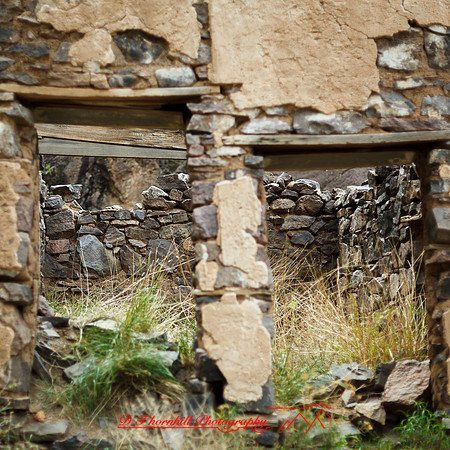 New Mexico-2017-color-073