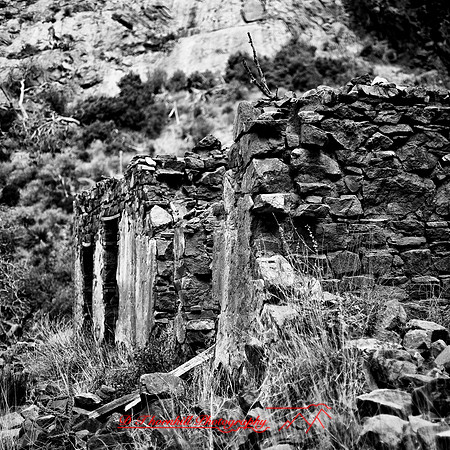 New Mexico-2017-color-071-nas