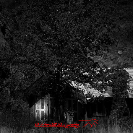 New Mexico-2017-color-066