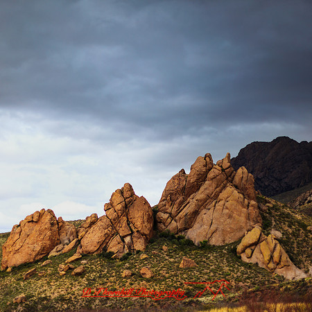 New Mexico-2017-color-093-nas