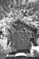 infrared-2010-random_011
