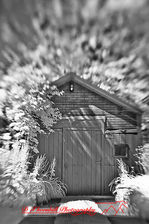 infrared-2010-random_011