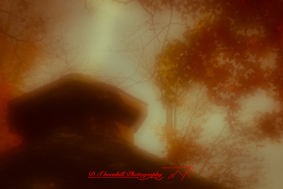 assorted-images-2010_84-nik
