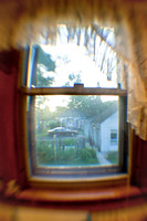 assorted_images-2009_037.jpg