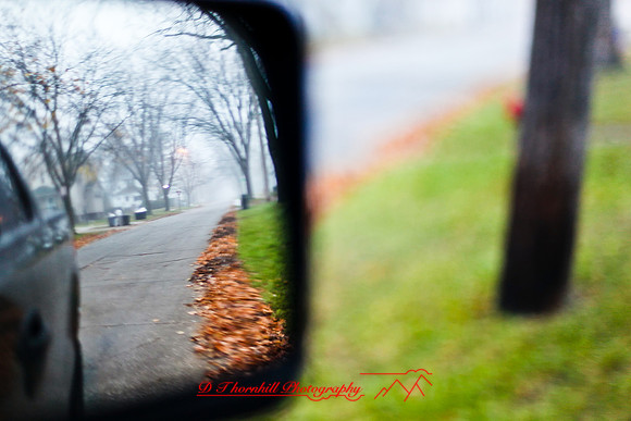 the-drive-2010_023