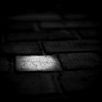 Wide Open-2017-032