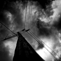 Wide Open-2017-038-nas