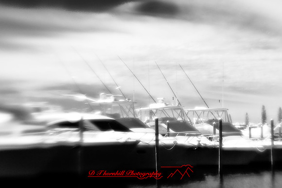 florida-2010-infrared-images_01