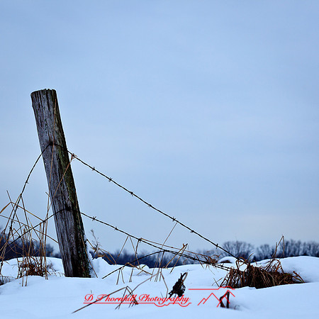 assorted_images-2012-153